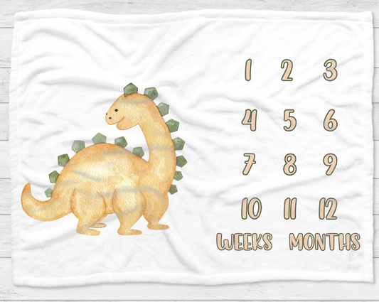 Dinosaur Journey Milestone Blanket
