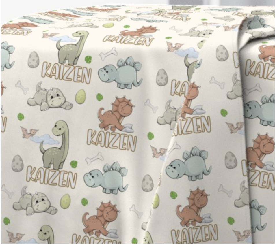 Baby Dino Blanket Set