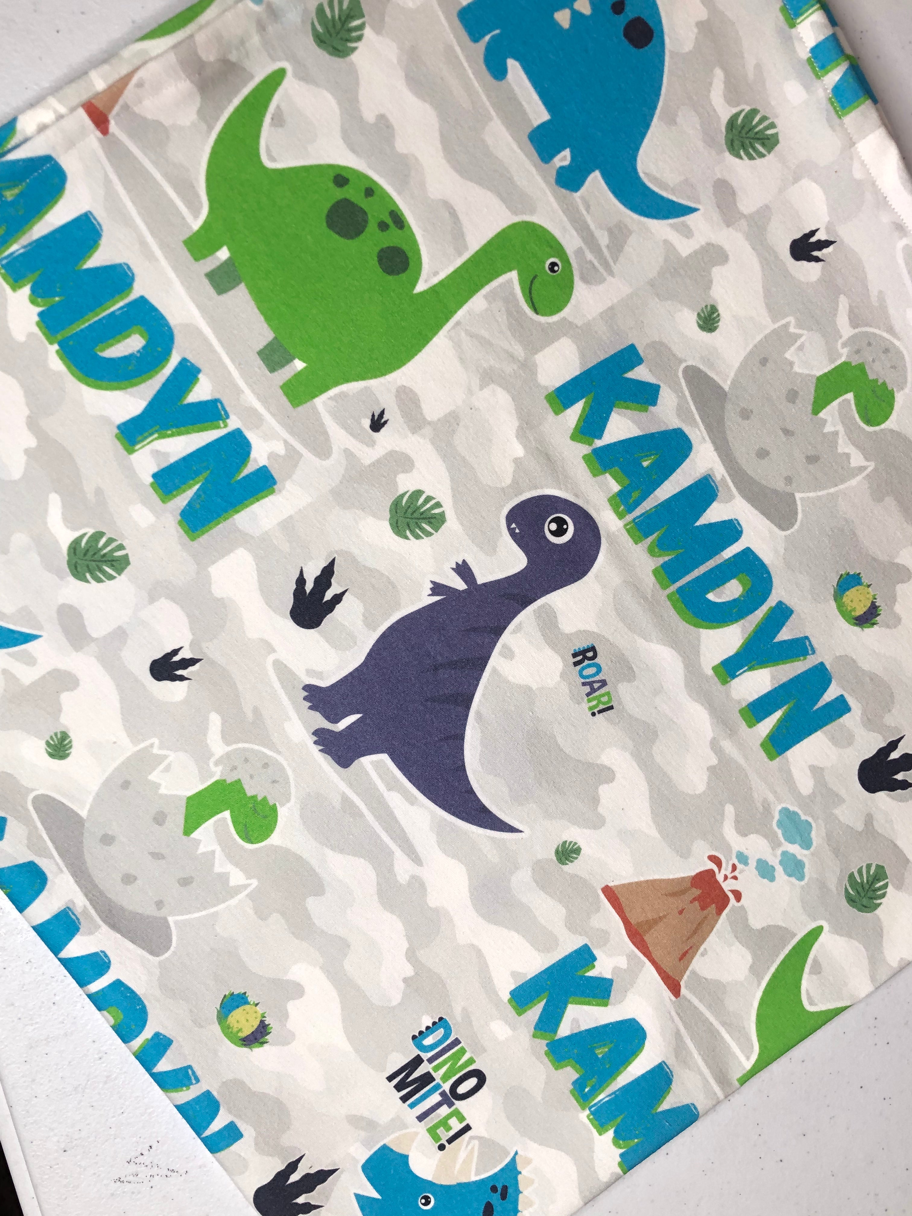 Dinosaur baby online blanket