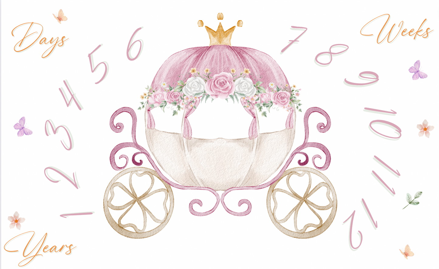 princess carriage milestone blanket