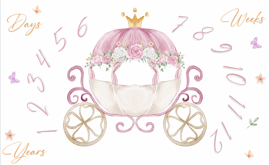 princess carriage milestone blanket