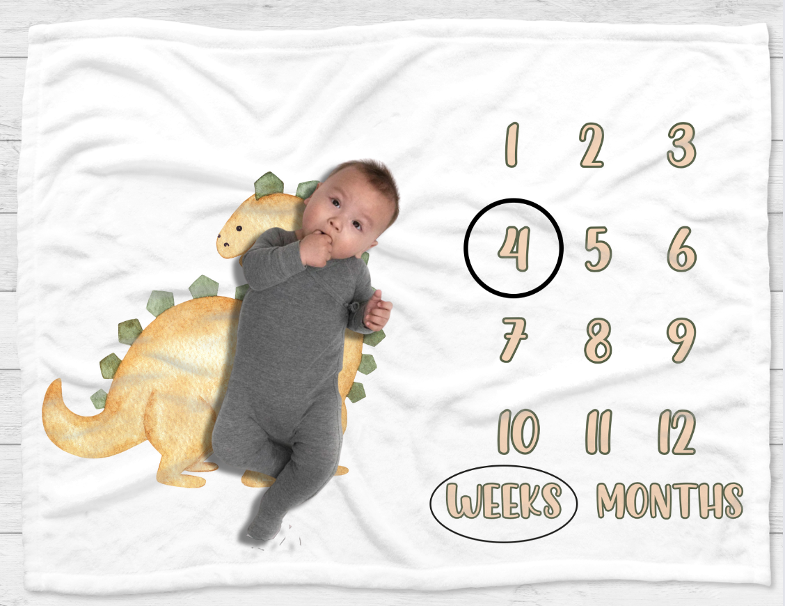 Dinosaur Journey Milestone Blanket